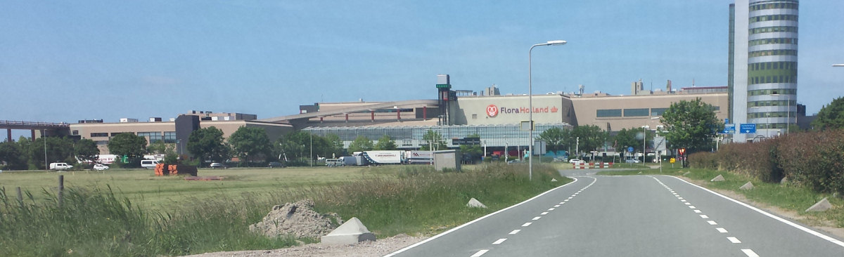 FloraHolland in Naaldwijk